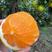 九月红脐橙又名果冻橙，皮薄多汁，产地一手货源，品质保证