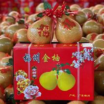 【礼盒装】广东梅州沙田柚梅县金柚8个真空装白肉柚子