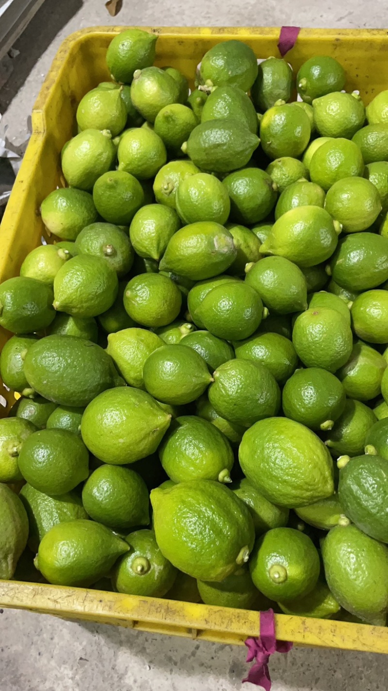 广东香水二级果