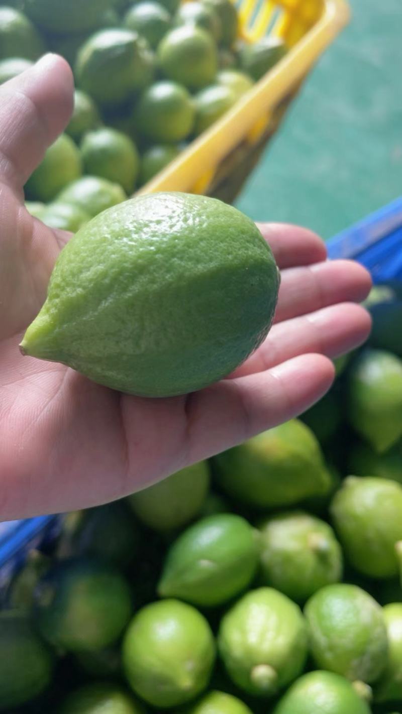 广东香水柠檬
