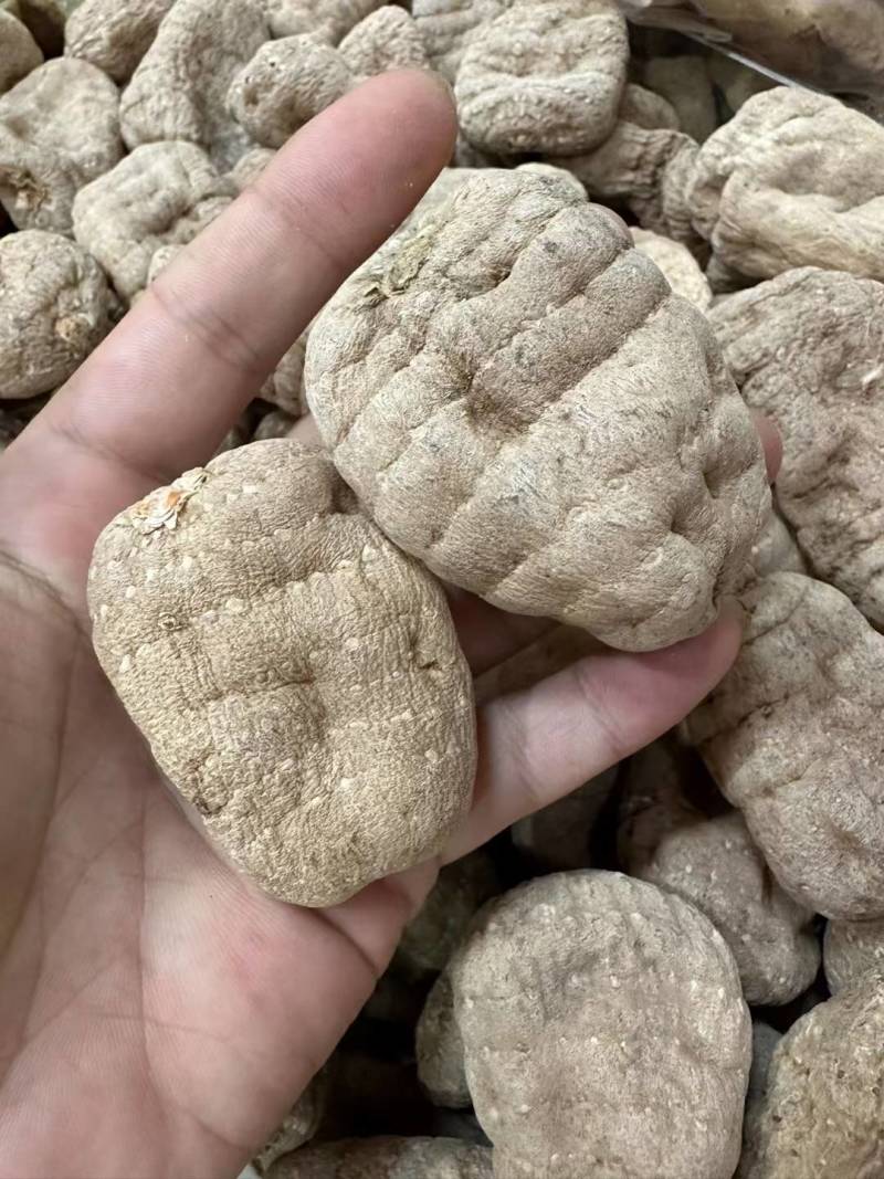 云南小草坝干乌天麻，无硫熏，无添加，高含量