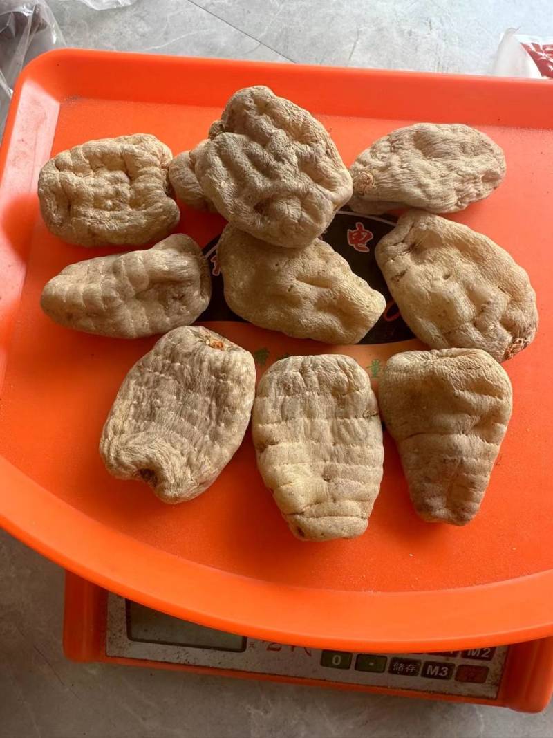 云南小草坝干乌天麻，无硫熏，无添加，高含量