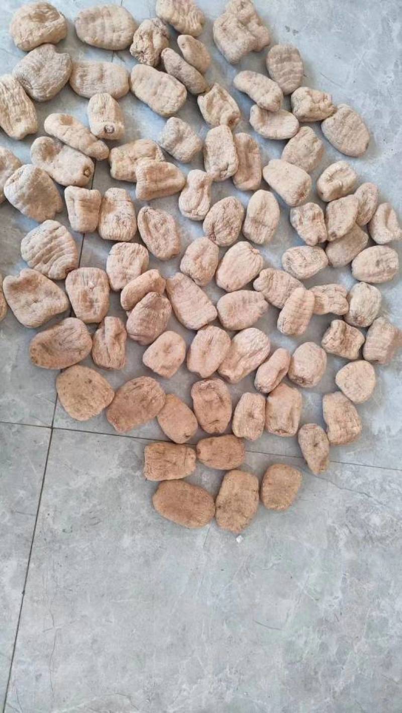云南小草坝干乌天麻，无硫熏，无添加，高含量