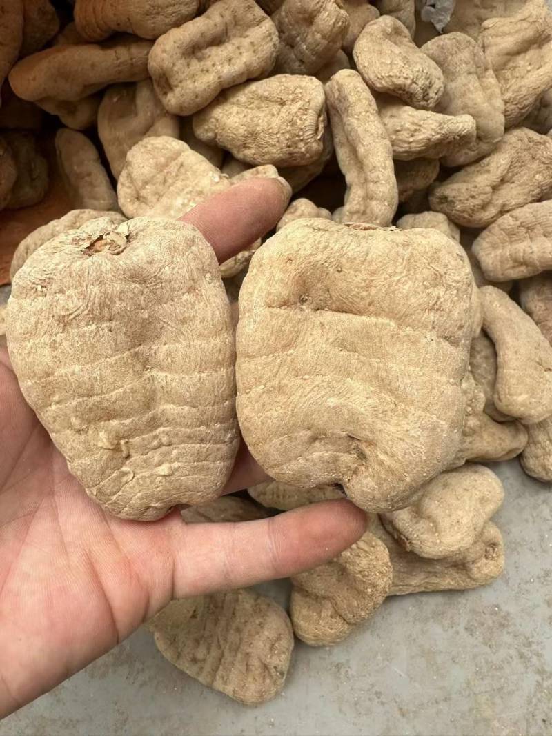 云南小草坝干乌天麻，无硫熏，无添加，高含量