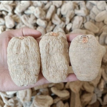 云南小草坝干乌天麻，无硫熏，无添加，高含量
