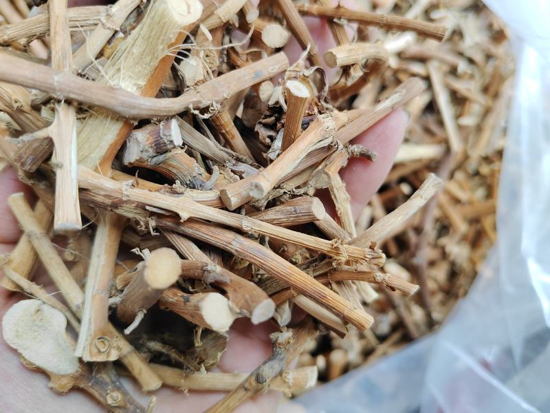 砂仁根干货广东阳春蟠龙精选特级干根货汤料产地直发