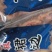 北极贝群边