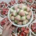 [推荐]甜宝草莓量大质高支持各种包装欢迎前来采购