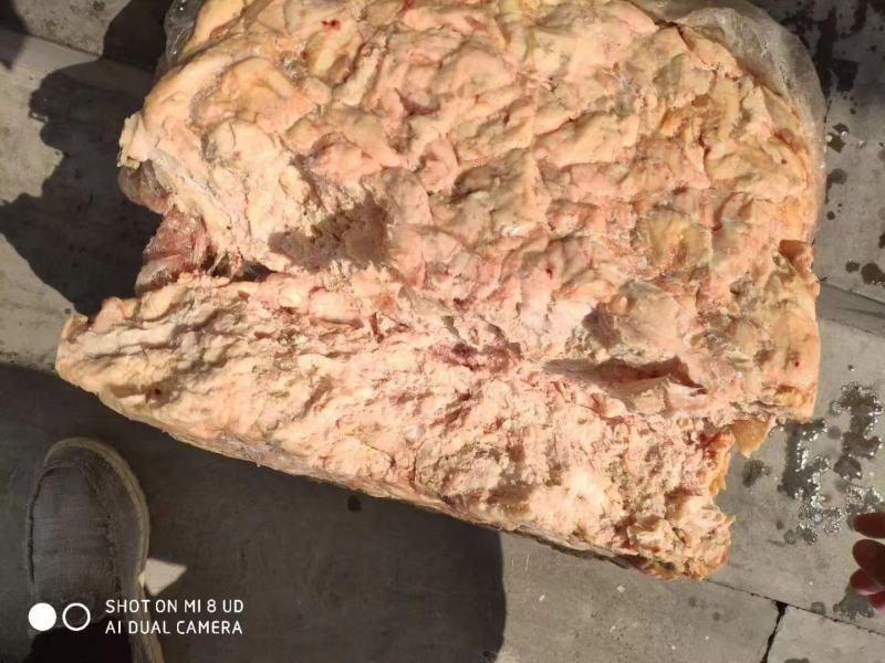 三黄鸡板油现货20吨工厂直发
