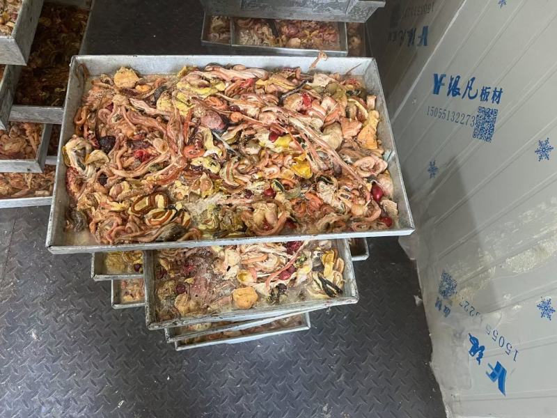 蛋鸡肠工厂直发全新货