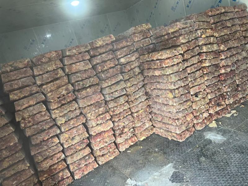 蛋鸡肠工厂直发全新货