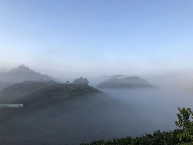 宣恩县李家河贡水白柚新鲜上市，产地一手货源，规格多样
