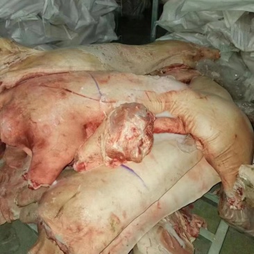 白条半子，鲜品冻品均可，都可以发货