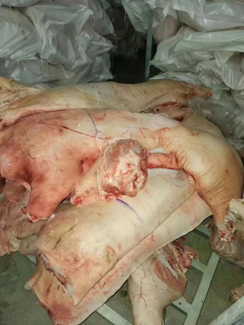 白条半子，鲜品冻品均可，都可以发货