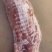 白条半子，鲜品冻品均可，都可以发货