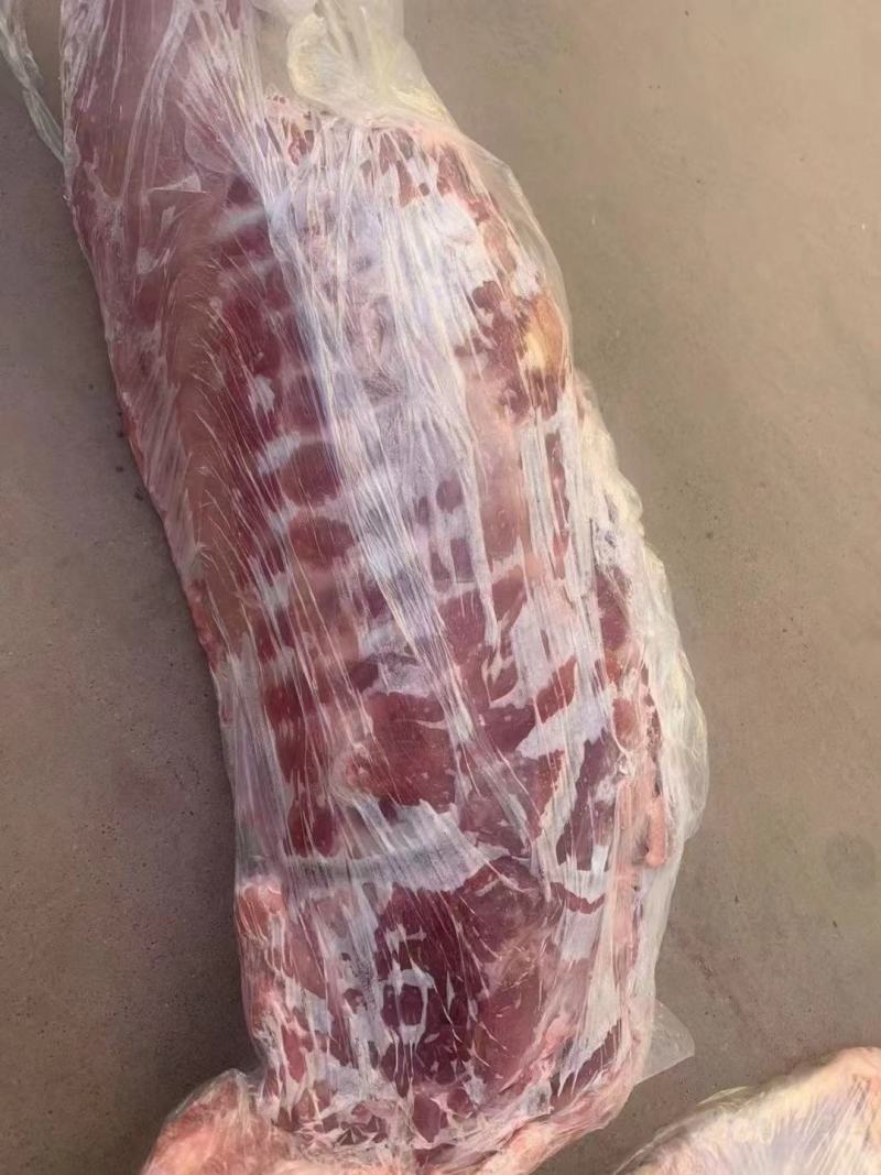 白条半子，鲜品冻品均可，都可以发货