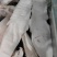 白条半子，鲜品冻品均可，都可以发货