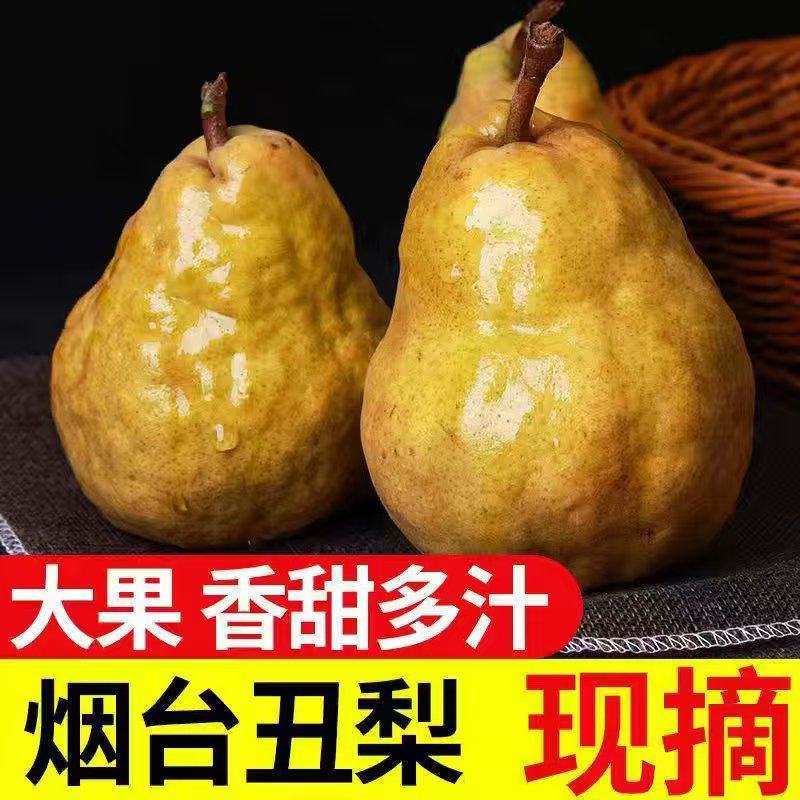 烟台丑梨一件代发整车落地配电商企业团购代发软糯香甜礼盒装