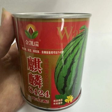 麒麟8424西瓜种子