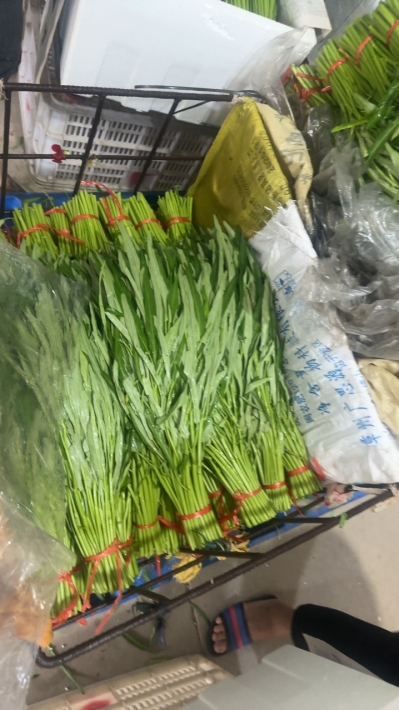 柳叶空心菜，青梗空心菜开始大量上市啦