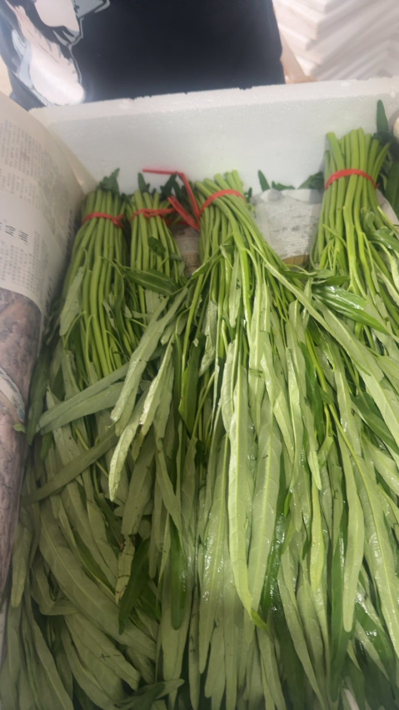 柳叶空心菜，青梗空心菜开始大量上市啦