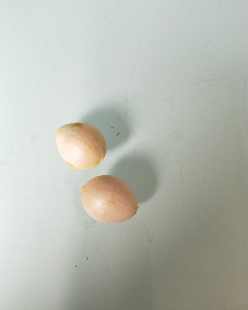 银杏果