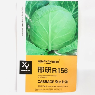 进口中早熟高产鲜食圆球形甘蓝种籽基地包菜卷心菜种球型珍绿