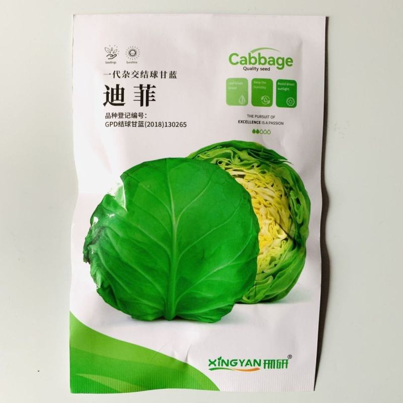 进口中早熟高产鲜食圆球形甘蓝种籽基地包菜卷心菜种球型珍绿