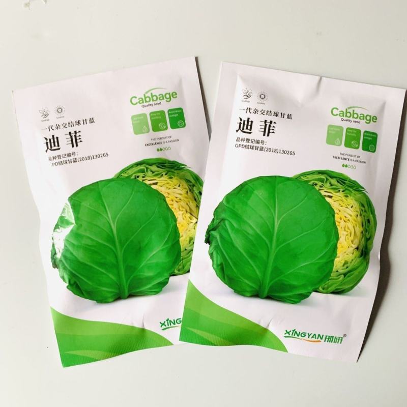 进口中早熟高产鲜食圆球形甘蓝种籽基地包菜卷心菜种球型珍绿