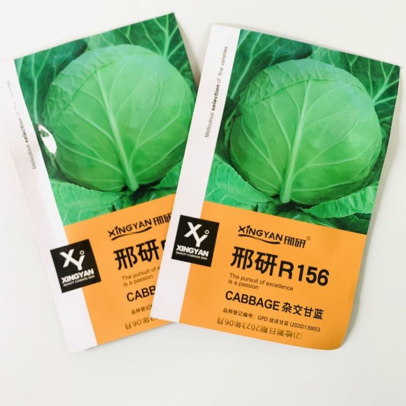 进口中早熟高产鲜食圆球形甘蓝种籽基地包菜卷心菜种球型珍绿