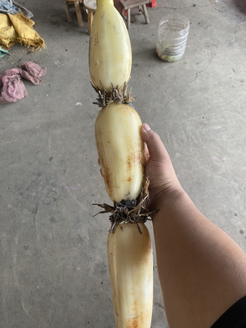 纯手工藕粉无任何添加