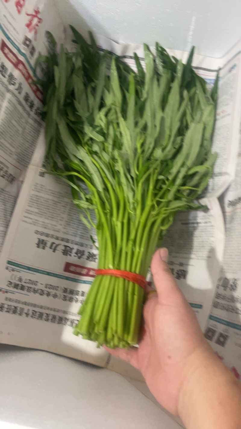 柳叶空心菜