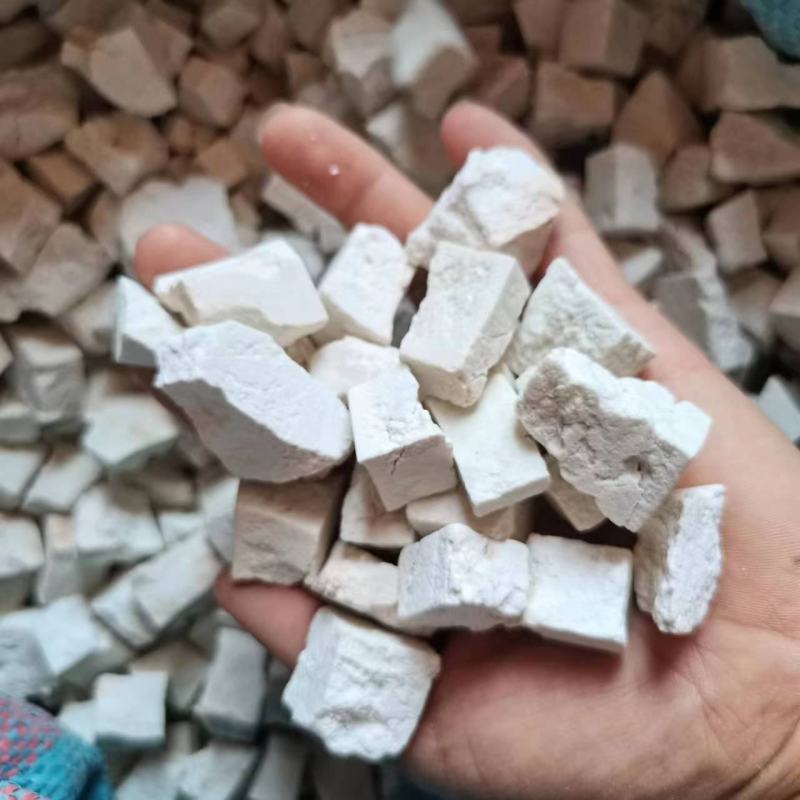茯苓，白茯苓，赤茯苓，云南当地新货