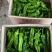 『实力代办』芜湖薄皮辣椒现货批发货源充足新鲜直达