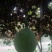 瓜蒌