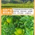 蜜桔，江西蜜桔赣南蜜桔，青皮肉红，无籽化渣多汁，酸酸甜甜