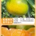 蜜桔，江西蜜桔赣南蜜桔，青皮肉红，无籽化渣多汁，酸酸甜甜