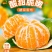 蜜桔，江西蜜桔赣南蜜桔，青皮肉红，无籽化渣多汁，酸酸甜甜