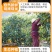 蜜桔，江西蜜桔赣南蜜桔，青皮肉红，无籽化渣多汁，酸酸甜甜