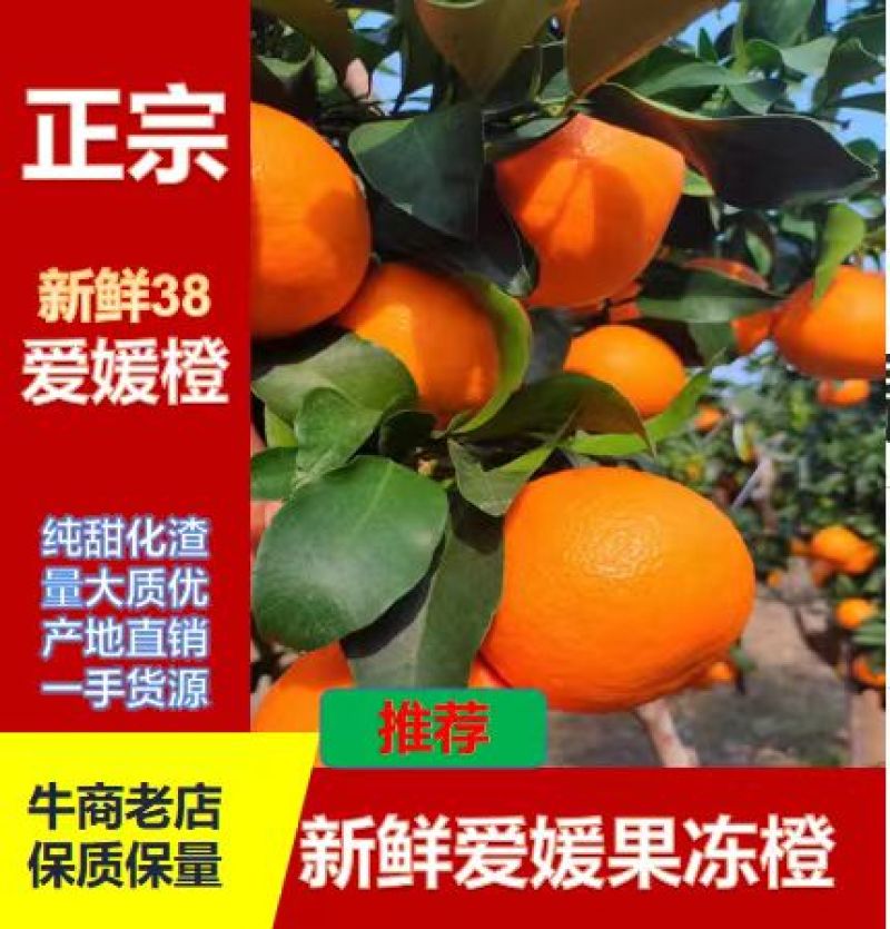 爱媛38果冻橙四川万亩基地纯甜化渣皮薄多汁囗感香甜来电优惠