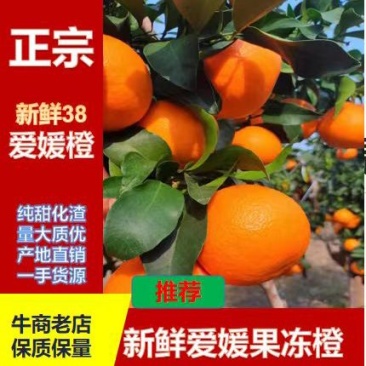 爱媛38果冻橙四川万亩基地纯甜化渣皮薄多汁囗感香甜来电优惠