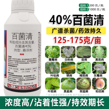 40%百菌清果树蔬菜花卉杀菌剂防治锈病炭疽病叶斑病霜霉病