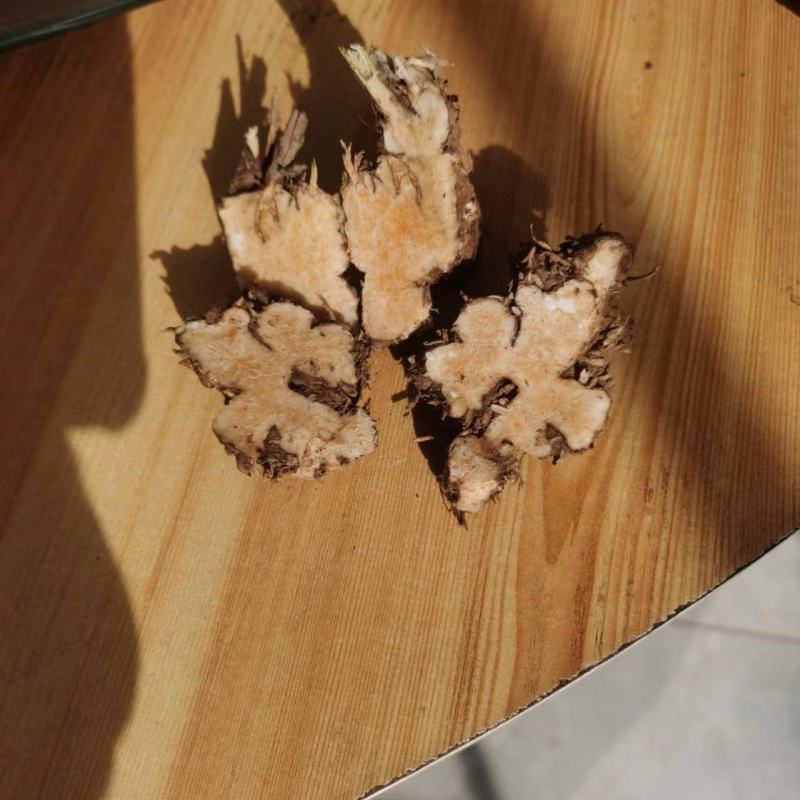 野生苍术，朱砂点和北苍术都有，苍术鲜货一斤12元，数量：
