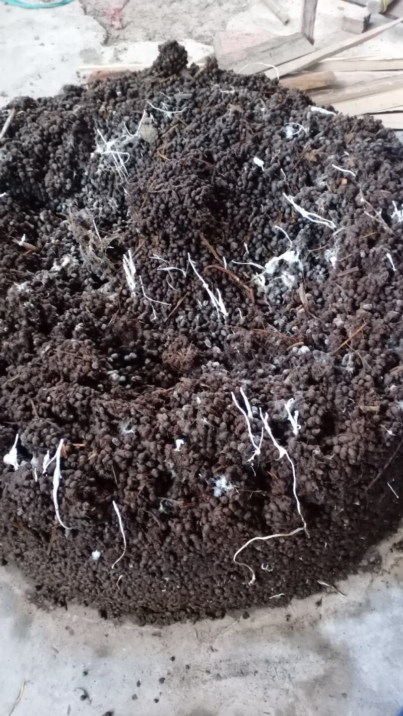 发醇羊粪纯羊粪干羊粪颗粒状！要买速快！四川资阳