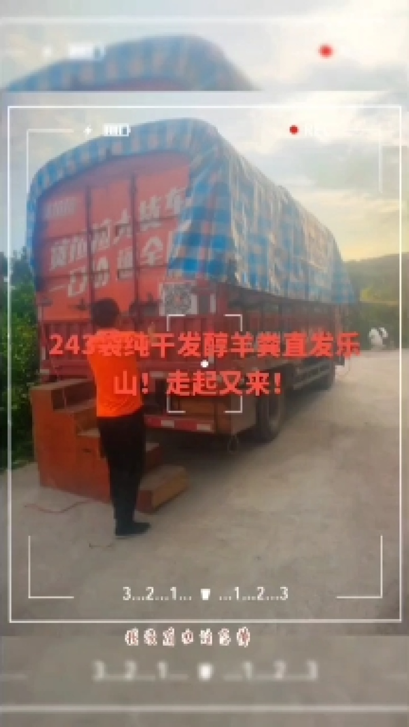 发醇羊粪纯羊粪干羊粪颗粒状！要买速快！四川资阳