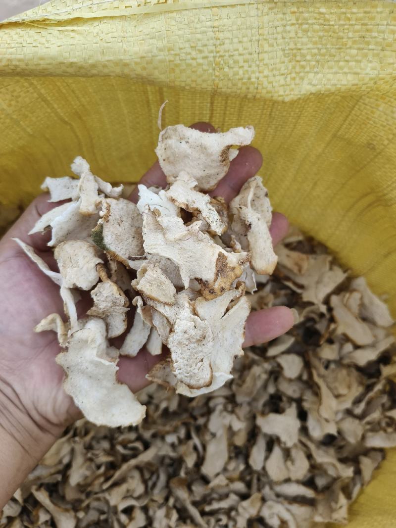 黄精果片