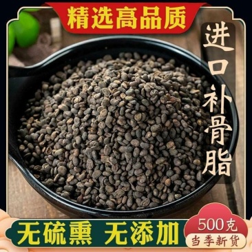 补骨脂新货精品野生补骨脂中药材批发无硫正品骨脂