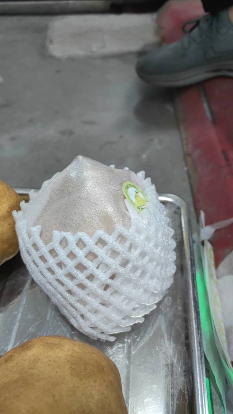 佛手梨