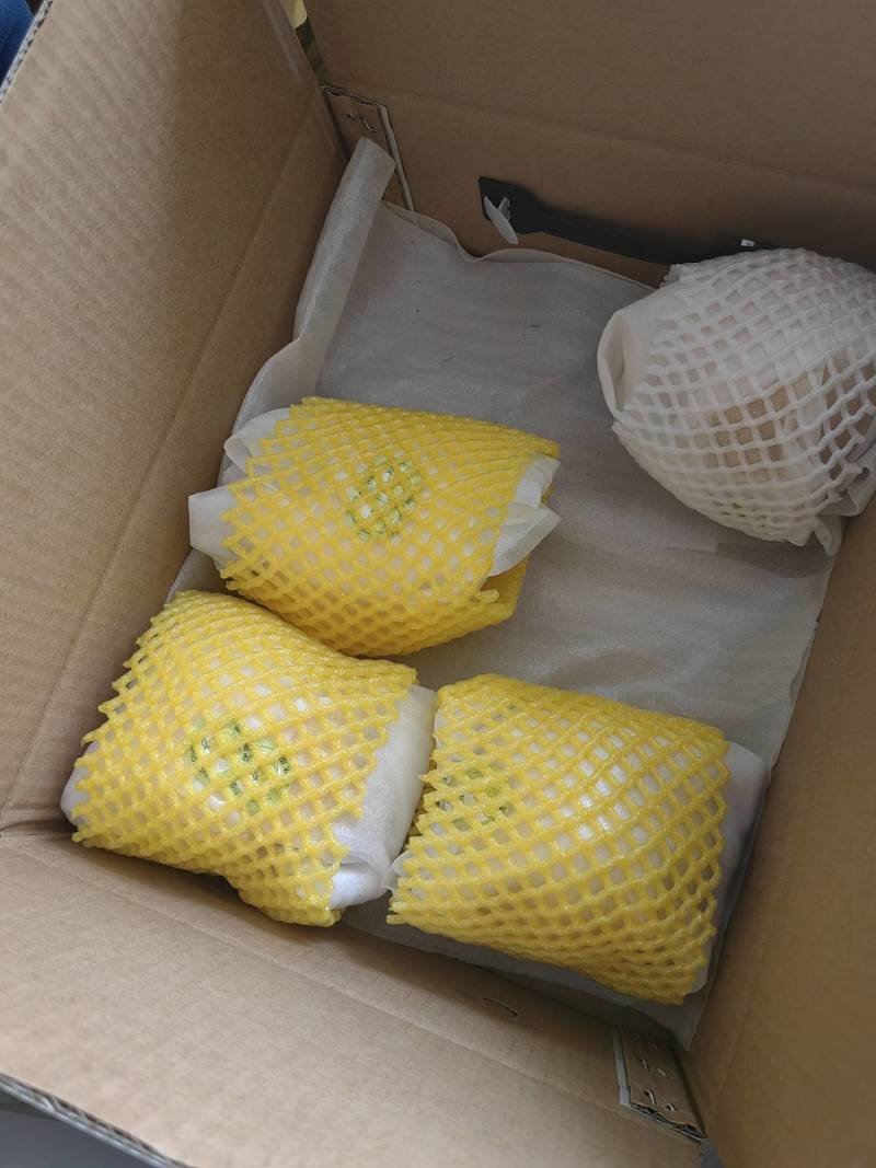 佛手梨
