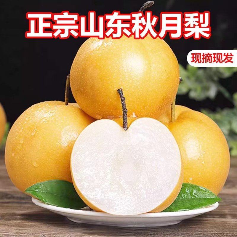 山东聊城秋月梨定制礼盒包装按需分拣现摘先发可以代发直播带货